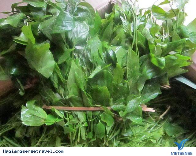 Thưởng Thức Đặc Sản Rau Lạ Đất Hà Giang - Ảnh 6