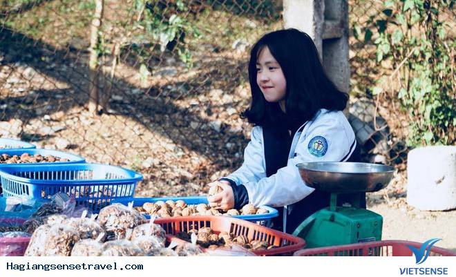 Bất Ngờ Với Người Đại Diện Cho Thương Hiệu Hoa Tam Giác Mạch Hà Giang - Ảnh 1