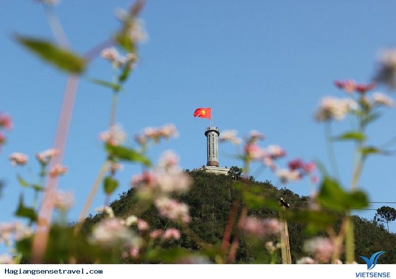 Lấy nét qua một vật thể khác