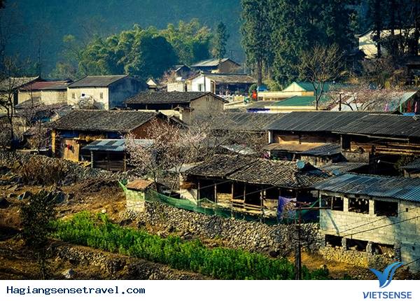 Bức tranh phố cổ Đồng Văn - Ảnh 2