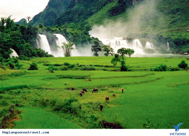 Có Một Trùng Khánh Đẹp Đến Ngỡ Ngàng Nơi Rẻo Cao Đông Bắc - Ảnh 1