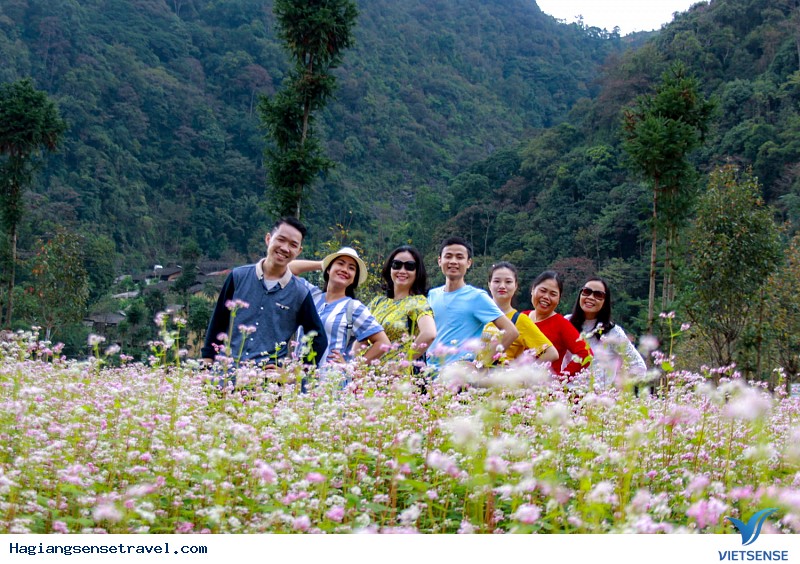 Hình Ảnh Đoàn Khách Hà Giang 4-6/10 - Ảnh 8