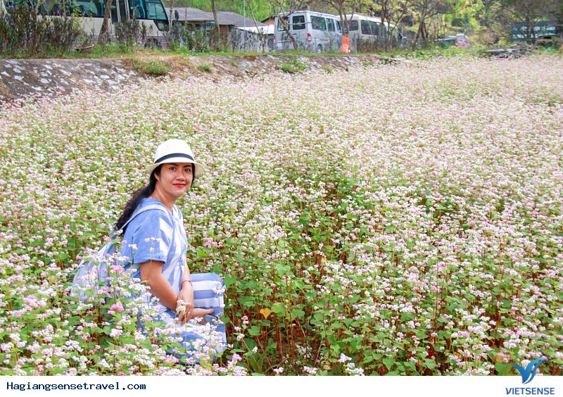 Hình Ảnh Đoàn Khách Hà Giang 4-6/10 - Ảnh 7