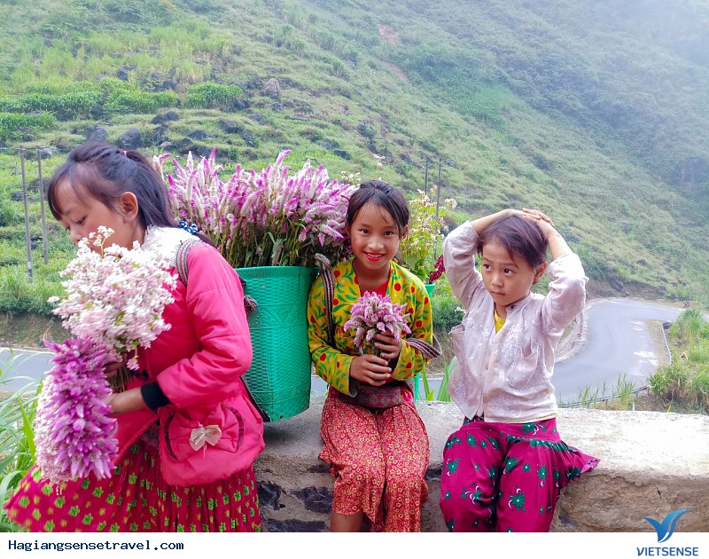 Hình Ảnh Đoàn Khách Hà Giang 4-6/10 - Ảnh 6