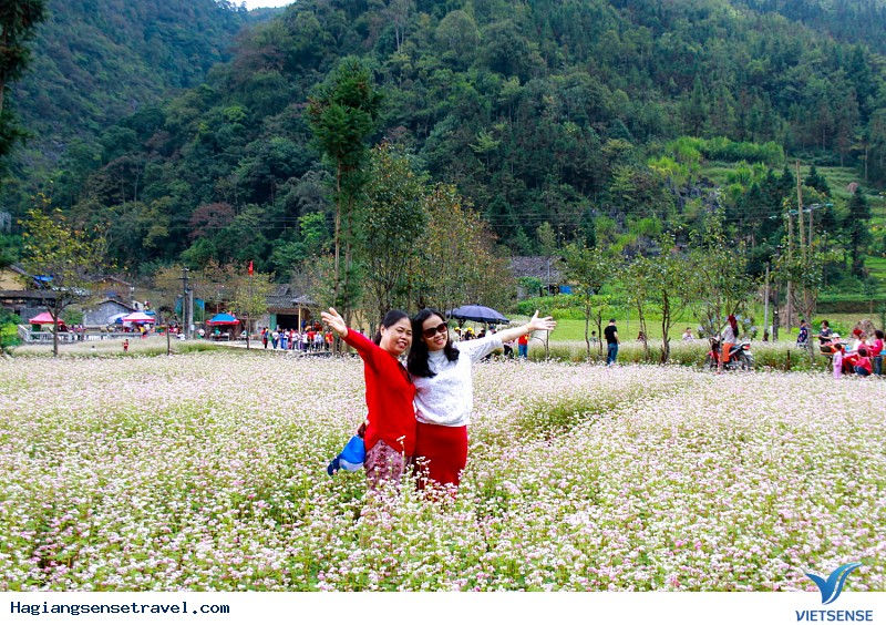 Hình Ảnh Đoàn Khách Hà Giang 4-6/10 - Ảnh 11