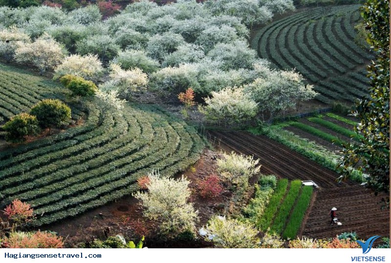 Dự Báo Miền Bắc Sẽ Đón Không Khí Lạnh Dịp Tết Nguyên Đán - Bạn Đã Chuẩn Bị Gì Cho Chuyến Du Xuân Của Mình - Ảnh 2 Dự Báo Miền Bắc Sẽ Đón Không Khí Lạnh Dịp Tết Nguyên Đán - Bạn Đã Chuẩn Bị Gì Cho Chuyến Du Xuân Của Mình - Ảnh 2