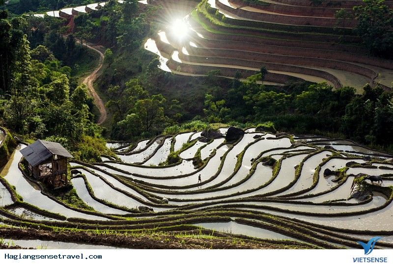 Ruộng bậc thang Bản Luốc – Sán Sả Hồ