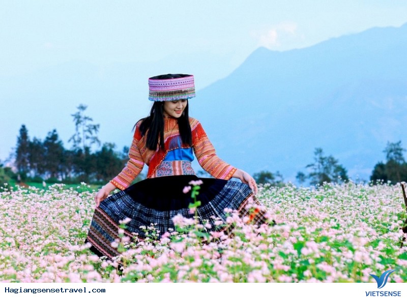 Hà Giang Khai Mạc Lễ Hội Hoa Tam Giác Mạch - Cao Nguyên Đá Rực Rỡ Những Mùa Hoa - Ảnh 4 Hà Giang Khai Mạc Lễ Hội Hoa Tam Giác Mạch - Cao Nguyên Đá Rực Rỡ Những Mùa Hoa - Ảnh 4