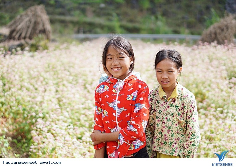 Hà Giang Sẵn Sàng Cho Lễ Hội Hoa Tam Giác Mạch 2025 - Ảnh 4