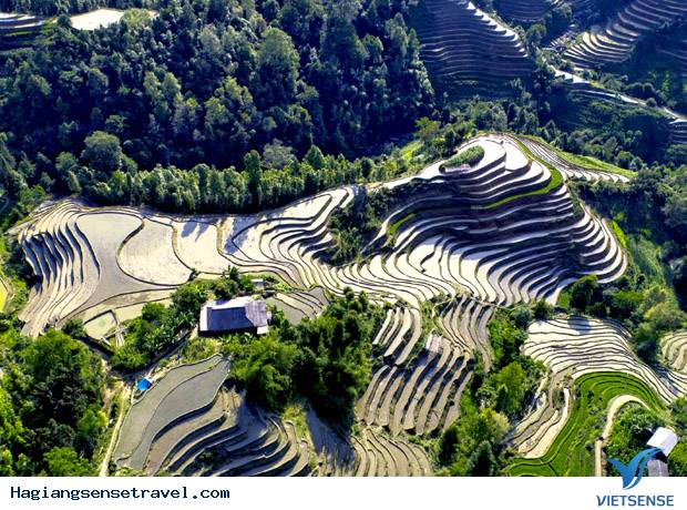 Hé Lộ Sự Thật Về Hà Giang Có Tuyệt Vời Như Trong Tưởng Tượng (P2) - Ảnh 6