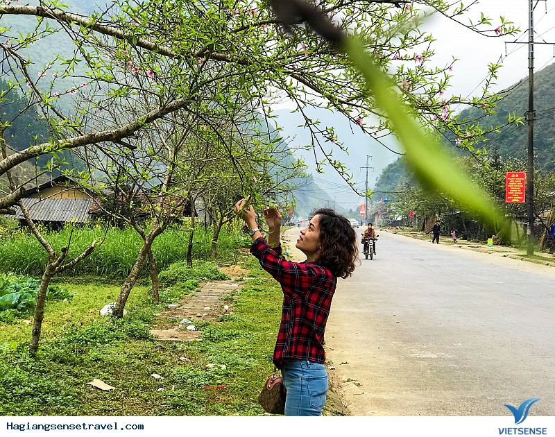 Hình Ảnh Đoàn Của Công Ty CP Synnex FPT Du Xuân Hà Giang Ngày 15-17/2 - Ảnh 8