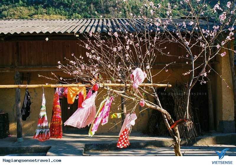 Khám Phá Tập Tục Tết Sớm Của Đồng Bào Dân Tộc Ở Hà Giang - Ảnh 2 Khám Phá Tập Tục Tết Sớm Của Đồng Bào Dân Tộc Ở Hà Giang - Ảnh 2
