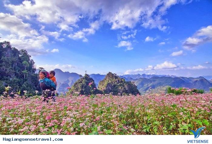 Các điểm tham quan khi bạn tới Hà Giang? - Ảnh 1 Các điểm tham quan khi bạn tới Hà Giang? - Ảnh 1