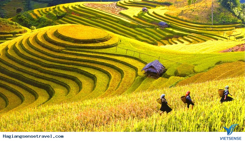 Nên khám phá Hà Giang vào mùa nào? - Ảnh 4