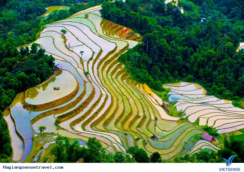 Nên khám phá Hà Giang vào mùa nào? - Ảnh 3