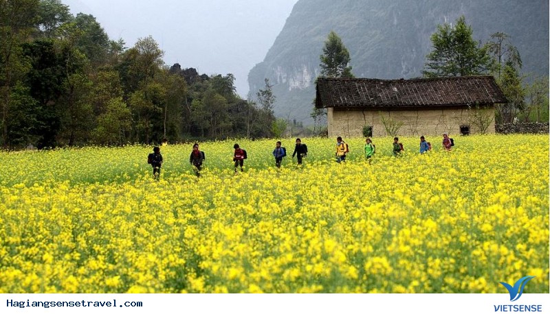 Nên khám phá Hà Giang vào mùa nào? - Ảnh 1
