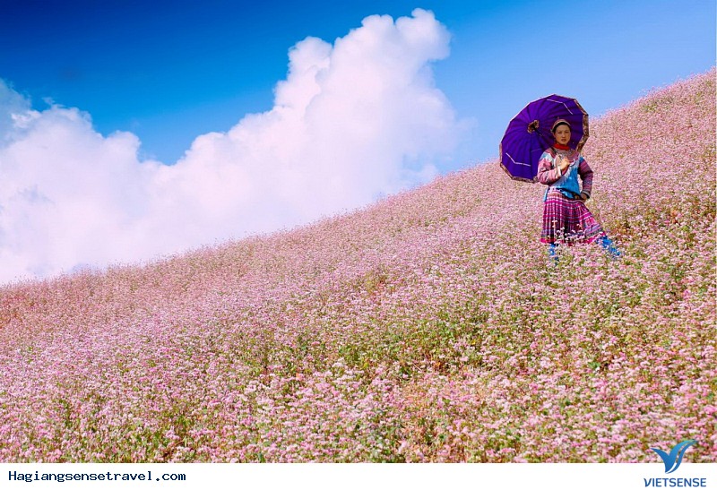 Nên khám phá Hà Giang vào mùa nào? - Ảnh 5