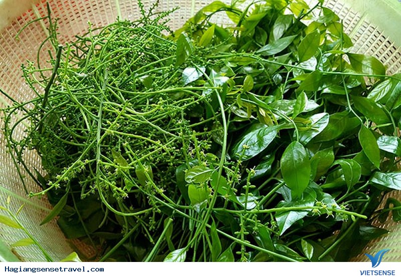 Lên Ba Bể Thưởng Thức Đặc Sản Rau Rừng Bắc Cạn - Ảnh 5