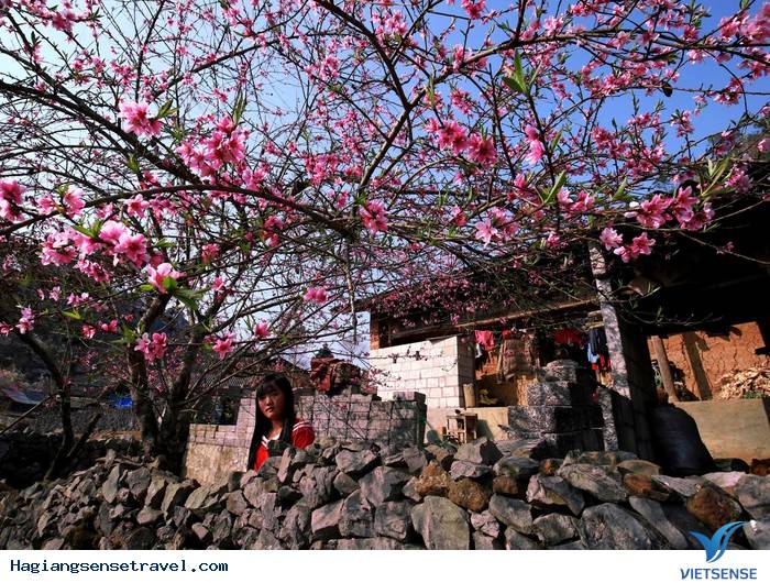 Lý Do Để Hà Giang Xứng Đáng Được Chọn Là Điểm Đến Của Dịp Tết Dương Lịch Này - Ảnh 3