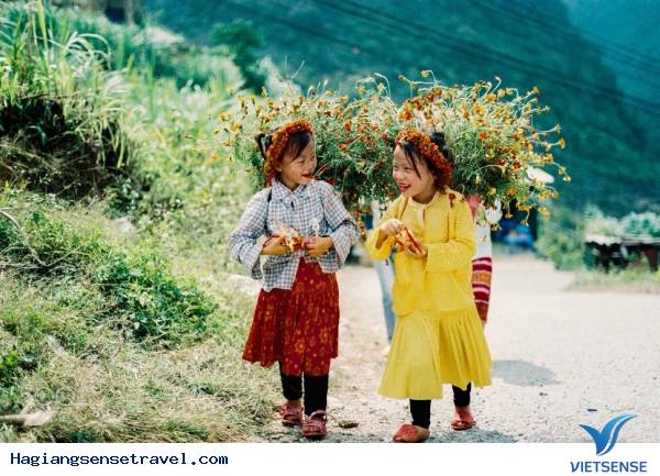 Lý Do Để Hà Giang Xứng Đáng Được Chọn Là Điểm Đến Của Dịp Tết Dương Lịch Này - Ảnh 1