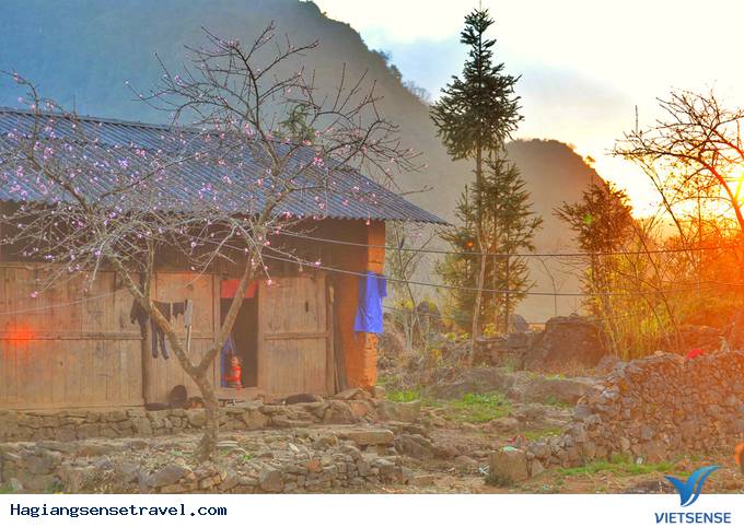 Vẻ đẹp hoang sơ của bản làng Lao Xa - Ảnh 3