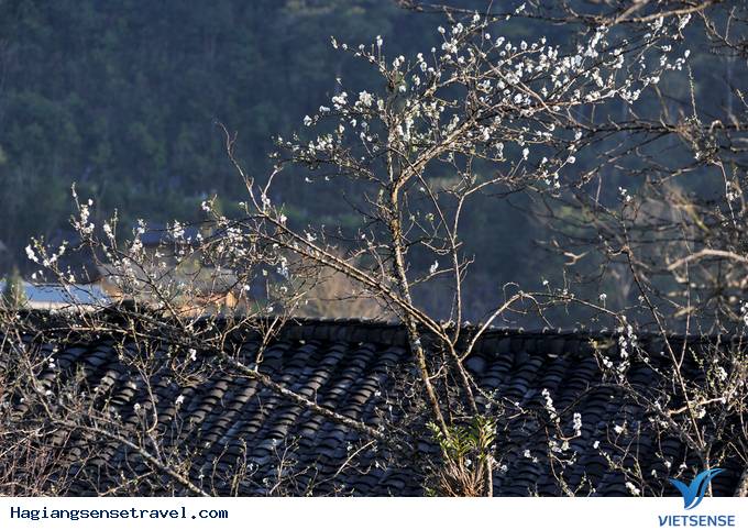 Lao Xa - điểm dừng chân của nhiều khách thăm quan khi ghé thăm Hà Giang