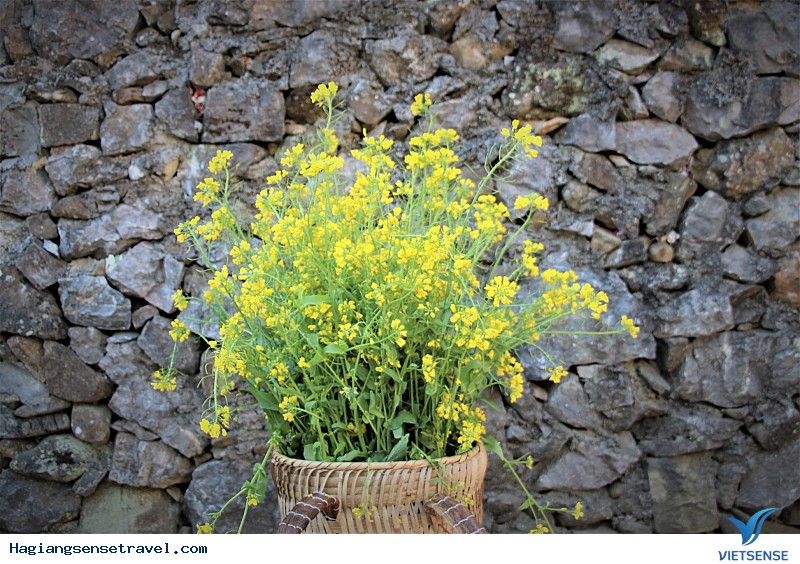 Ngỡ Ngàng Ngắm Đá Nở Hoa Khi Về Hà Giang Mùa Xuân Này - Ảnh 2