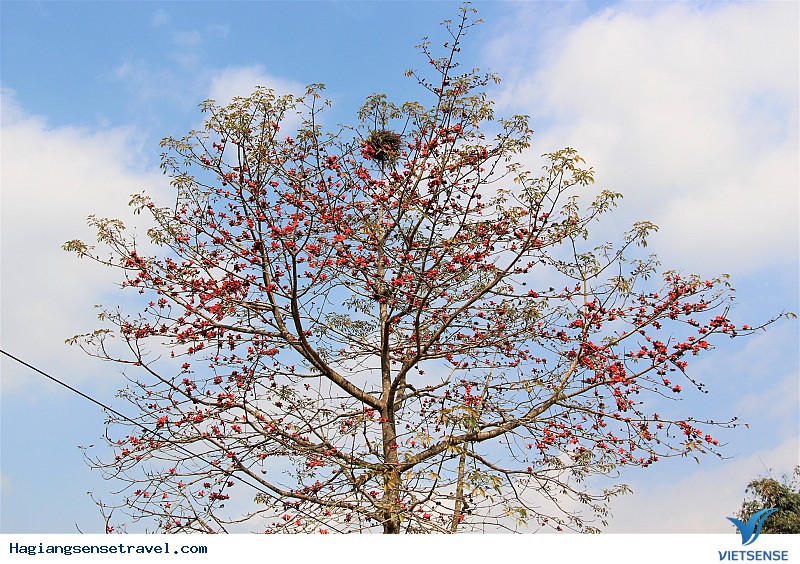 Ngỡ Ngàng Ngắm Đá Nở Hoa Khi Về Hà Giang Mùa Xuân Này - Ảnh 3