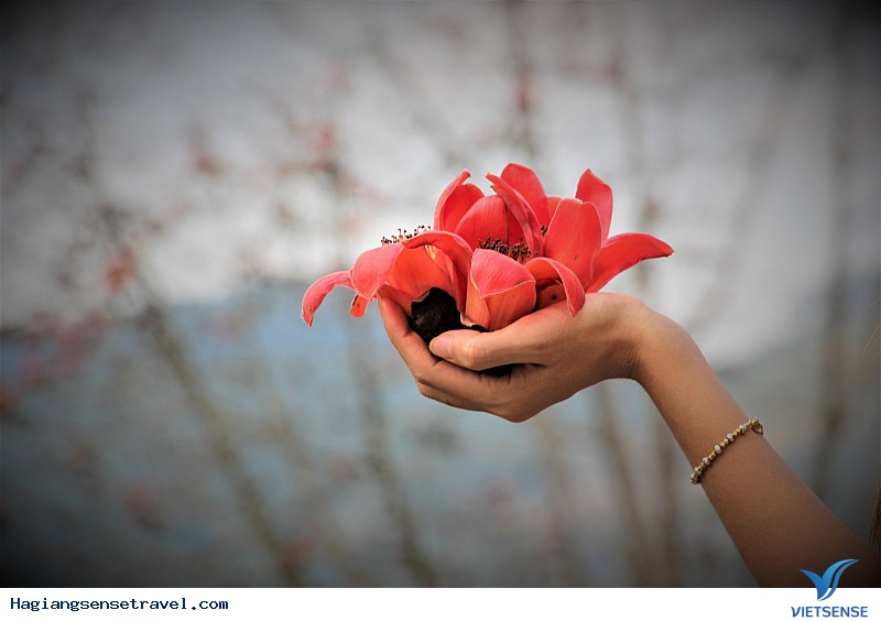 Ngỡ Ngàng Ngắm Đá Nở Hoa Khi Về Hà Giang Mùa Xuân Này - Ảnh 9