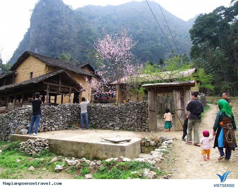 Những ngôi nhà tường trình nổi tiếng