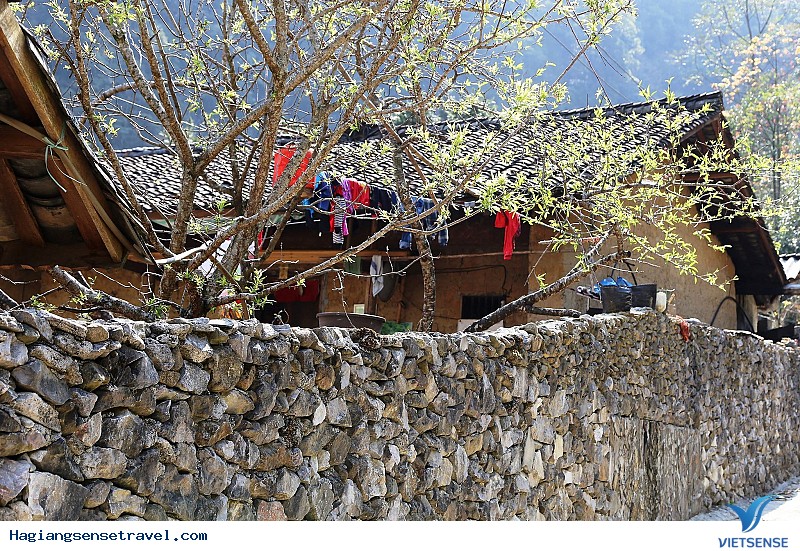 Nhà tường trình - Ảnh 2