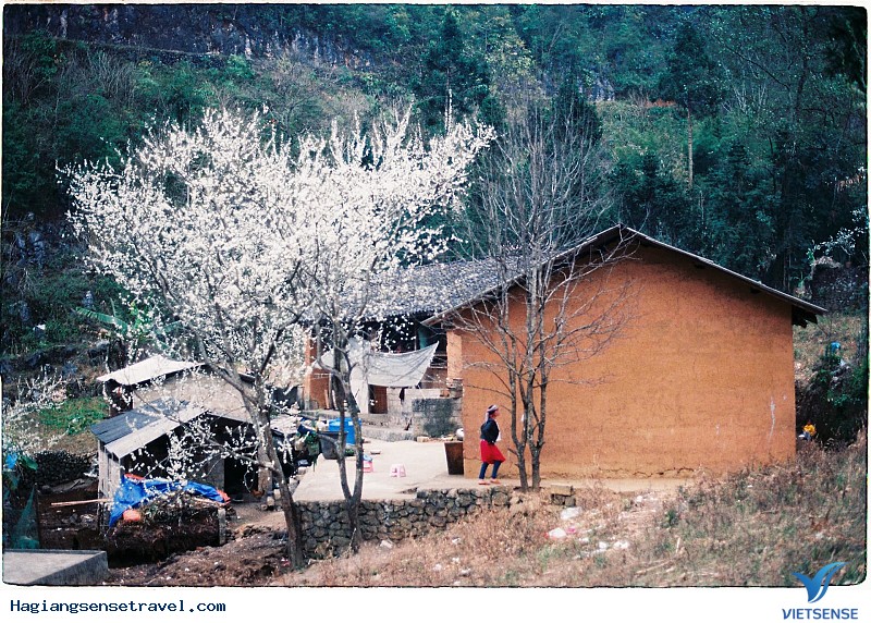 Tìm Hiểu Về Những Ngôi Nhà Tường Trình Hớp Hồn Giới Trẻ Ở Hà Giang - Ảnh 1