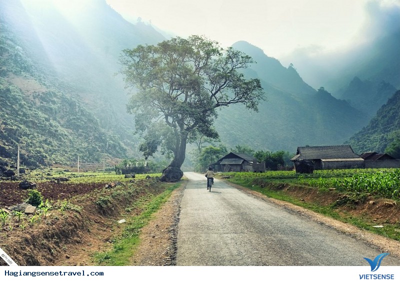 Đến Hà Giang nên đi đâu chơi?