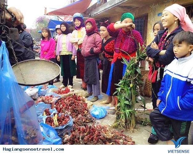 Về Hà Giang Mua Nấm Ngọc Cẩu Làm Quà - Ảnh 3 Về Hà Giang Mua Nấm Ngọc Cẩu Làm Quà - Ảnh 3