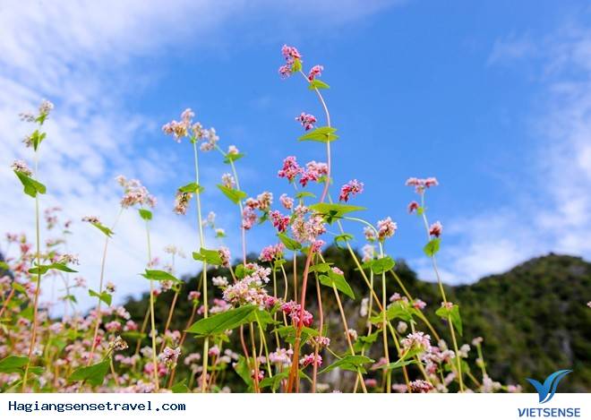 5 Thói Quen Xấu Tuyệt Đối Phải Tránh Trên Cung Đường Phượt Hà Giang - Ảnh 2
