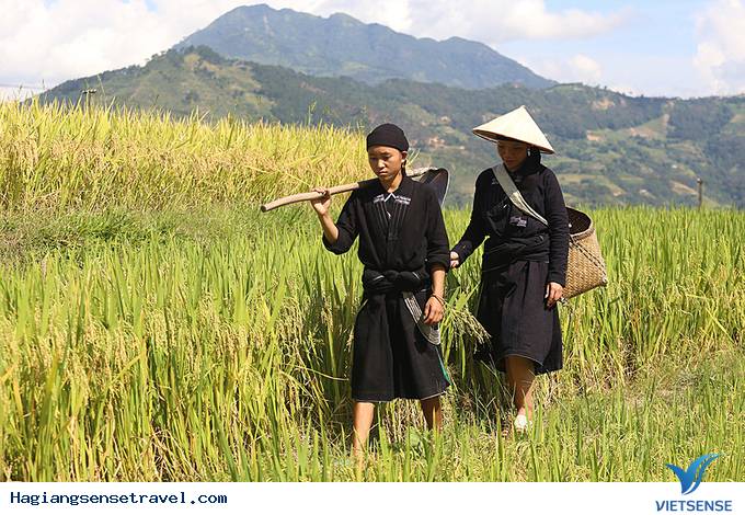 6 Công Đoạn Làm Cốm Của Người La Chí Ở Hà Giang - Ảnh 1