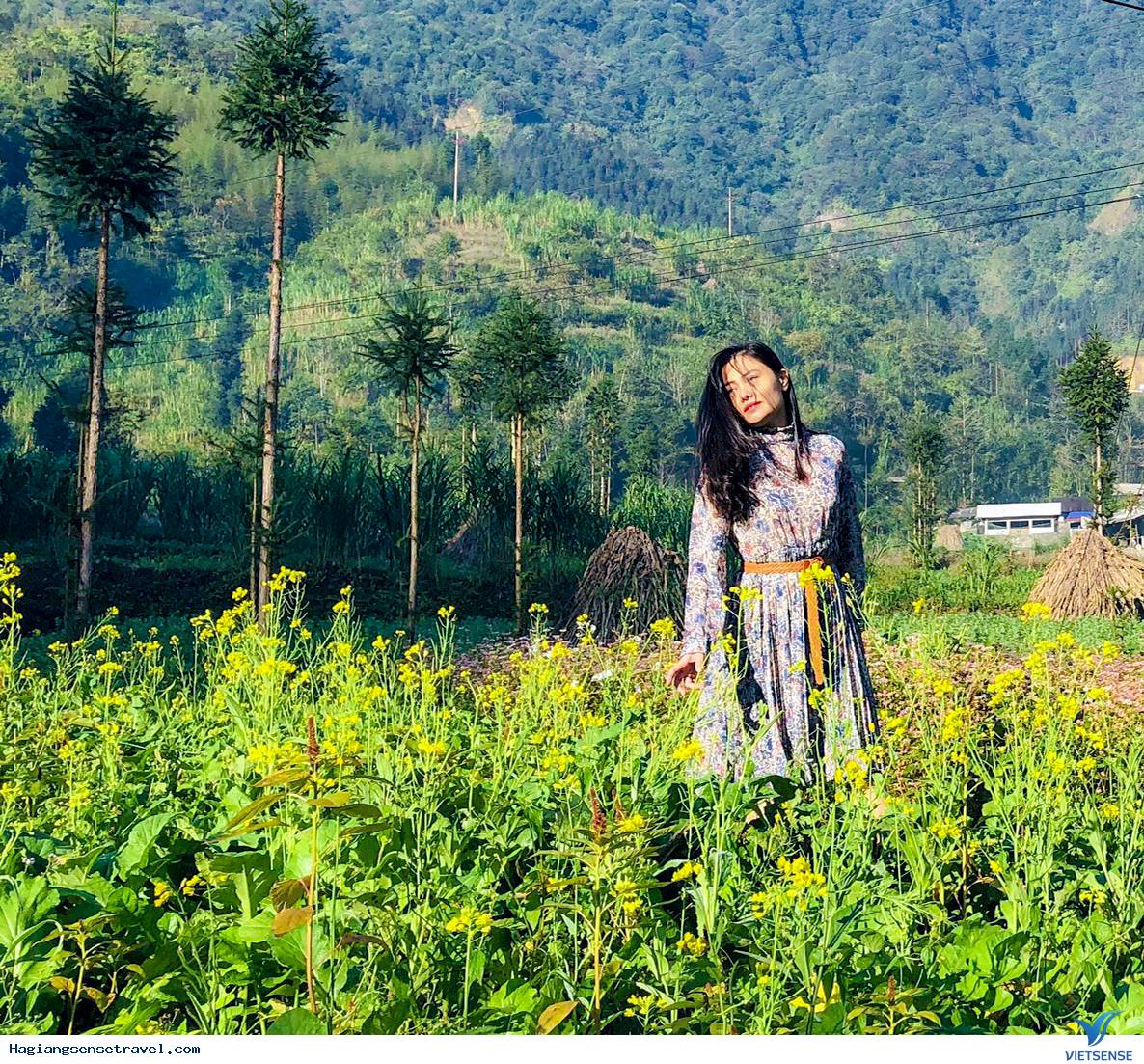 Ảnh đoàn Hà Giang 11-13/11 - Ảnh 8 Ảnh đoàn Hà Giang 11-13/11 - Ảnh 8