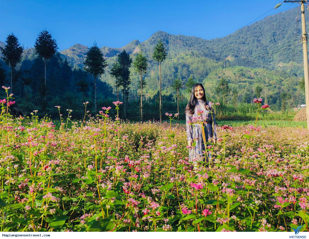 Ảnh đoàn Hà Giang 11-13/11 - Ảnh 5 Ảnh đoàn Hà Giang 11-13/11 - Ảnh 5