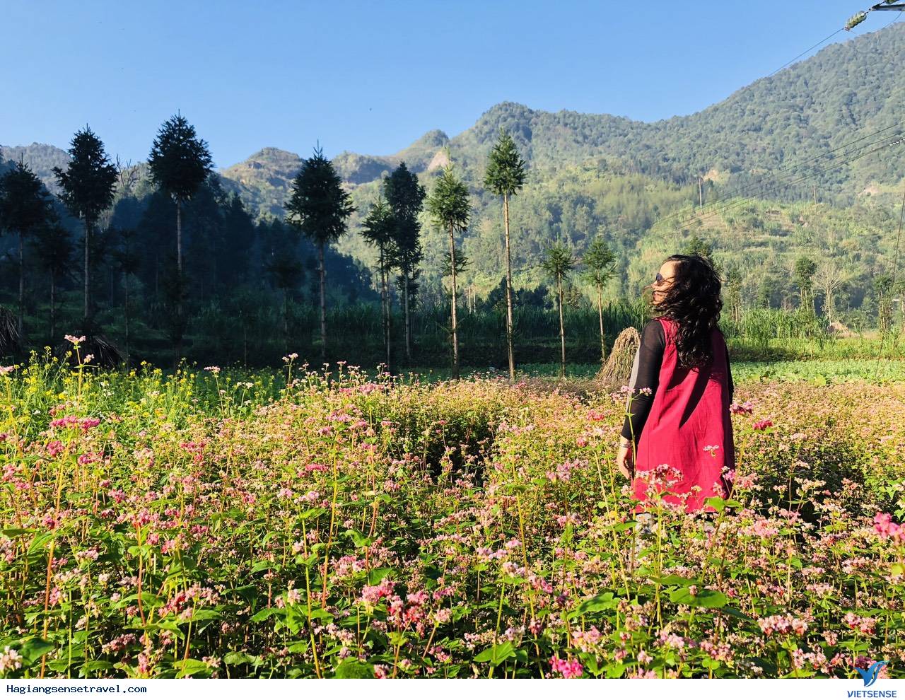 Ảnh đoàn Hà Giang 11-13/11 - Ảnh 1 Ảnh đoàn Hà Giang 11-13/11 - Ảnh 1