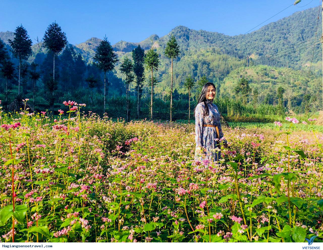 Ảnh đoàn Hà Giang 11-13/11 - Ảnh 17 Ảnh đoàn Hà Giang 11-13/11 - Ảnh 17