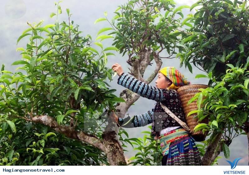 Bắc Mê - Nhân Tố Tiềm Ẩn Của Hà Giang - Ảnh 3 Bắc Mê - Nhân Tố Tiềm Ẩn Của Hà Giang - Ảnh 3