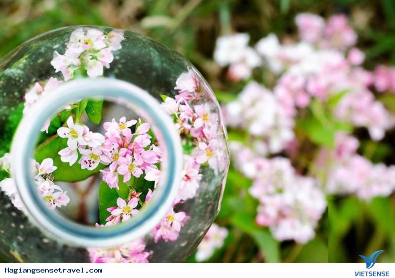 Thay đổi điểm nhìn của bạn