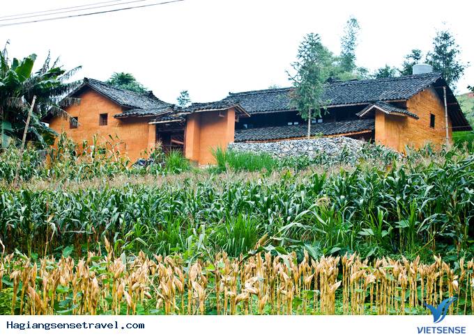 Bỏ Túi 4 Homestay Cực Chất Ở Hà GIang Mùa Hoa Tam Giác Mạch - Ảnh 7 Bỏ Túi 4 Homestay Cực Chất Ở Hà GIang Mùa Hoa Tam Giác Mạch - Ảnh 7