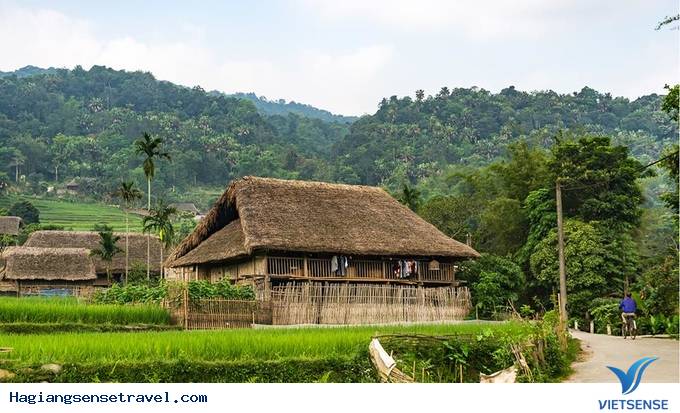 Bỏ Túi 4 Homestay Cực Chất Ở Hà GIang Mùa Hoa Tam Giác Mạch - Ảnh 1 Bỏ Túi 4 Homestay Cực Chất Ở Hà GIang Mùa Hoa Tam Giác Mạch - Ảnh 1