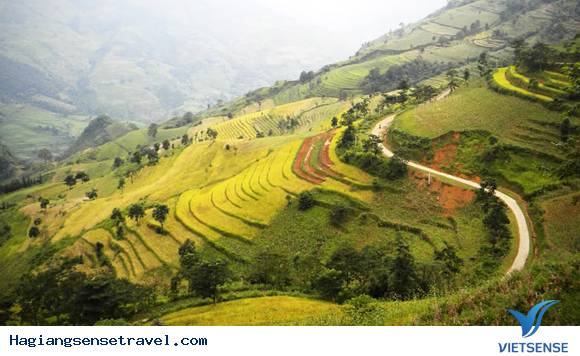 Các Điểm thăm quan Hà Giang Hấp Dẫn ( P4 ) - Ảnh 5