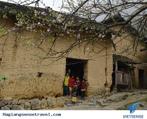 Nhà Của Pao - Ảnh 3 Nhà Của Pao - Ảnh 3