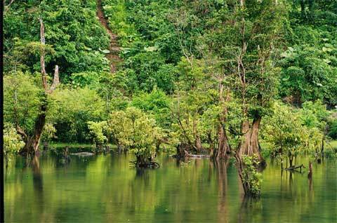 Hồ Noong - Ảnh 7 Hồ Noong - Ảnh 7