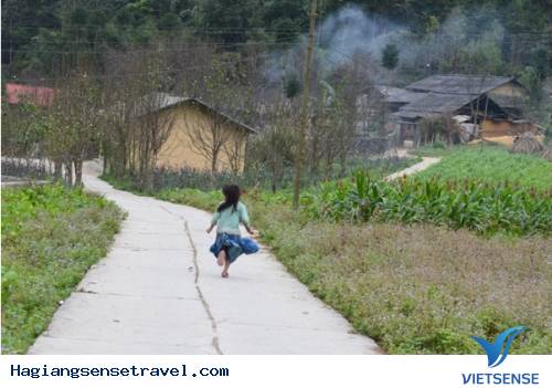 Nhà Của Pao - Ảnh 1 Nhà Của Pao - Ảnh 1