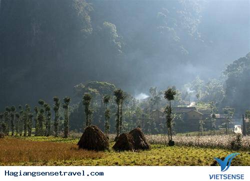 Thung Lũng Sủng Là - Ảnh 2 Thung Lũng Sủng Là - Ảnh 2