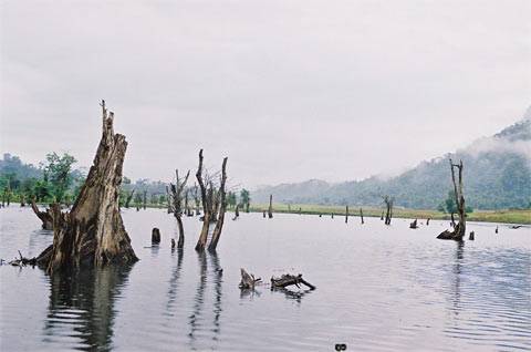 Hồ Noong - Ảnh 3 Hồ Noong - Ảnh 3